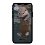 buy Instagram account otter (16k followers)
