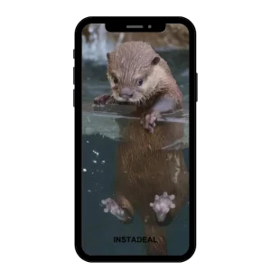 buy Instagram account otter (16k followers)