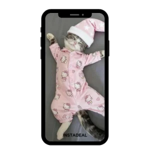 buy Instagram account cats (220k followers)