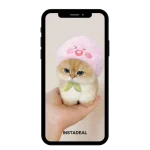 buy Instagram account mini (41k followers)