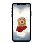 buy Instagram account rebel (2.4k followers)