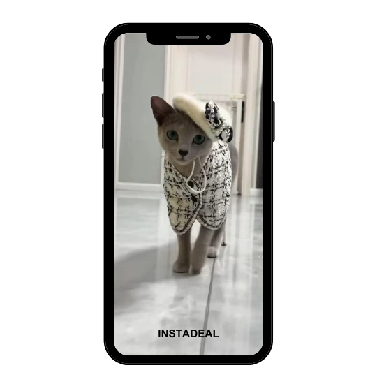 buy Instagram account angry (238k followers) buy Instagram account angry (238k followers)