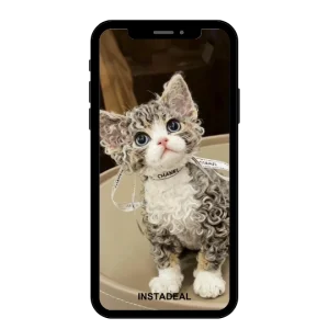 buy Instagram account cat (1k followers)