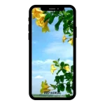 buy Instagram account flower (1k followers)