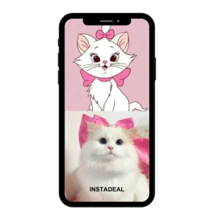 buy Instagram account port (13k followers)