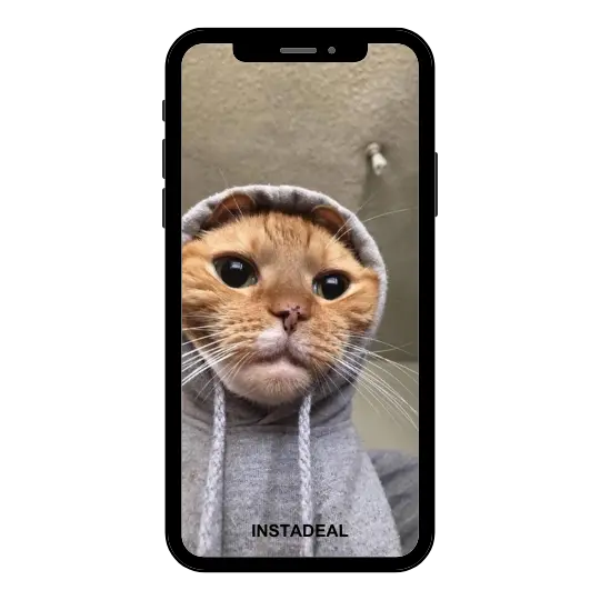 buy Instagram account buzz (642k followers) buy Instagram account buzz (642k followers)