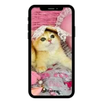 buy Instagram account kitty (78k followers)