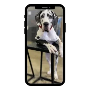 buy Instagram account ig (5k followers)