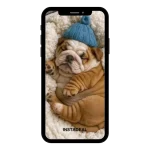 buy Instagram account french (98k followers)