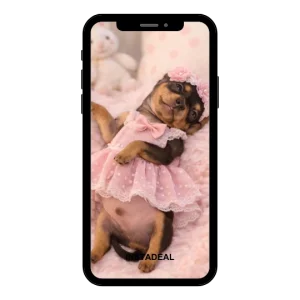 buy Instagram account french (3k followers)