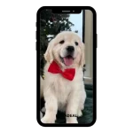 buy Instagram account Instad (40k followers)