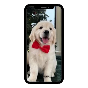 buy Instagram account Instad (40k followers)