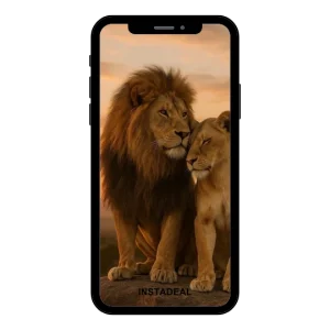 buy Instagram account animal (3.7k followers)